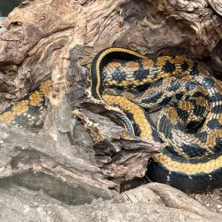 Valasske Mezirici Town Park - Valasske Mezirici