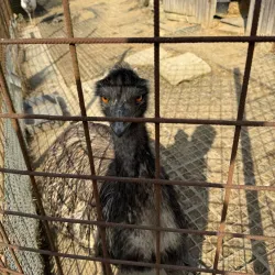 Valasske Mezirici Town Park - Valasske Mezirici