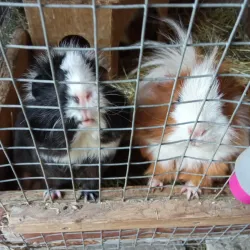 Valasske Mezirici Town Park - Valasske Mezirici