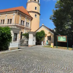 Local Market Square - Vlasim