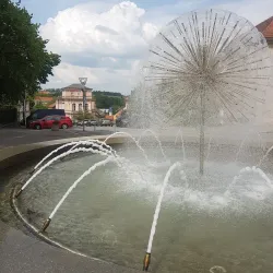 Local Market Square - Vlasim