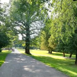 Vlasim Park - Vlasim