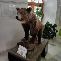 Museum of Wallachian Region (Muzeum regionu Valašska) - Vsetin