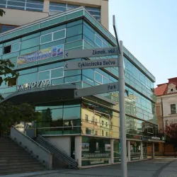 Vsetin Town Hall - Vsetin