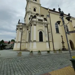 Church of the Assumption of the Virgin Mary - Vyskov