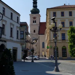 Church of the Assumption of the Virgin Mary - Vyskov