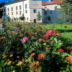 Military Museum Vyskov - Vyskov