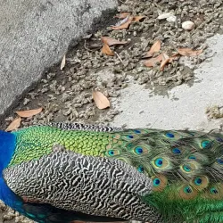 Park Pod Hradiskem - Vyskov