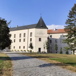 Vyskov Castle - Vyskov