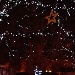 Vyskov Cultural House - Vyskov