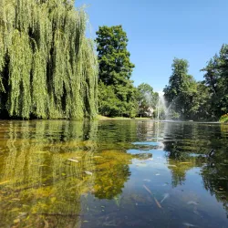Smetana Park - Vysoké Mýto