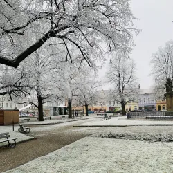 Vysoké Mýto Town Square (Náměstí Přemysla Otakara II) - Vysoké Mýto
