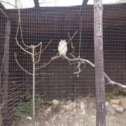 Lesní Park (Forest Park) - Zlin