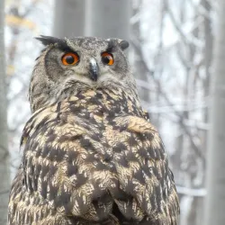 Lesní Park (Forest Park) - Zlin