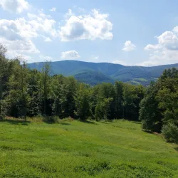 Lesní Park (Forest Park) - Zlin