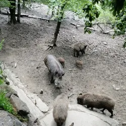 Lesní Park (Forest Park) - Zlin