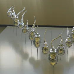 Zlín Regional Gallery - Zlin