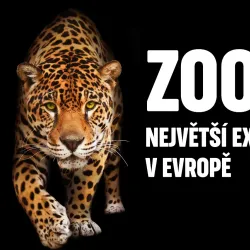Zlín Zoo - Zlin