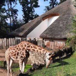 Zlín Zoo - Zlin