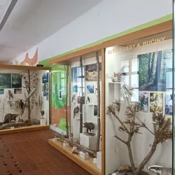 Znojmo Museum - Znojmo