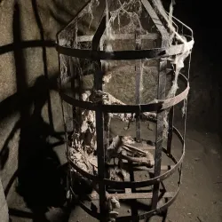 Znojmo Underground - Znojmo