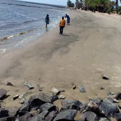 Cultural Festivals - Banana