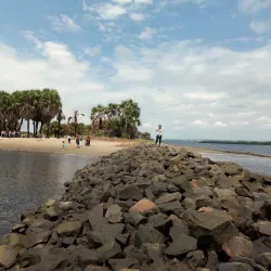 Cultural Festivals - Banana