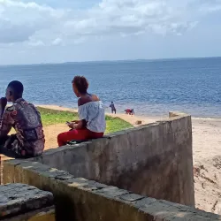 Cultural Festivals - Banana