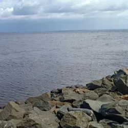 Cultural Festivals - Banana