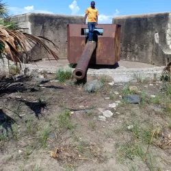 Cultural Festivals - Banana