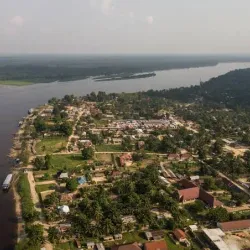 Cultural Festivals - Banana