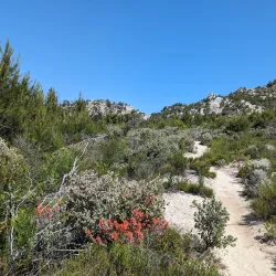 Nearby Nature Reserves - Banana