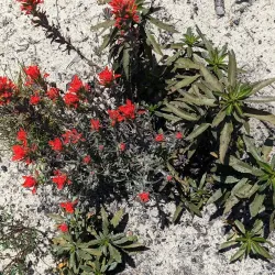 Nearby Nature Reserves - Banana