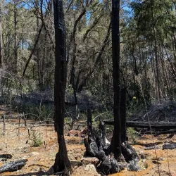 Nearby Nature Reserves - Banana