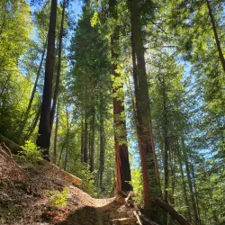 Nearby Nature Reserves - Banana