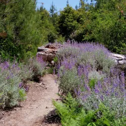 Nearby Nature Reserves - Banana