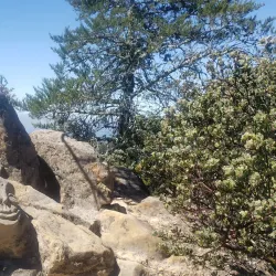 Nearby Nature Reserves - Banana