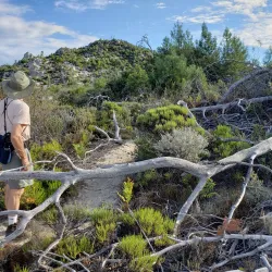 Nearby Nature Reserves - Banana