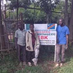 Bukavu Botanical Gardens - Bukavu