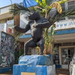 Institut Français de Bukavu - Bukavu