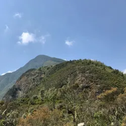 Mount Kahuzi - Bukavu