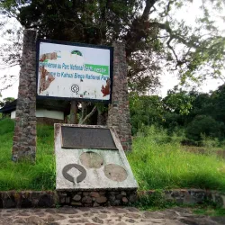 Mount Kahuzi - Bukavu