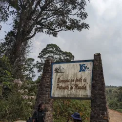 Mount Kahuzi - Bukavu