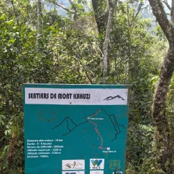 Mount Kahuzi - Bukavu