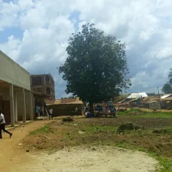 Mambasa National Park - Bunia