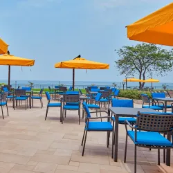 Sake Hot Springs - Goma