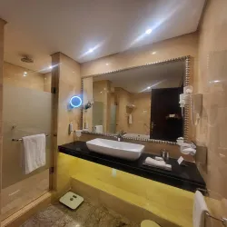 Sake Hot Springs - Goma