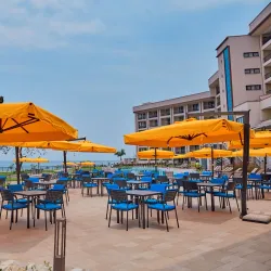 Sake Hot Springs - Goma