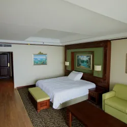 Sake Hot Springs - Goma