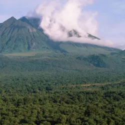 Virunga National Park - Goma